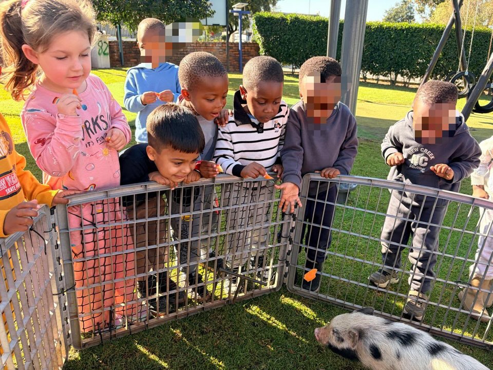 Our little ones loved spending time in “The Farm Corner” at school 🐓🐇🐑💚 Cuddles, curiosity…
